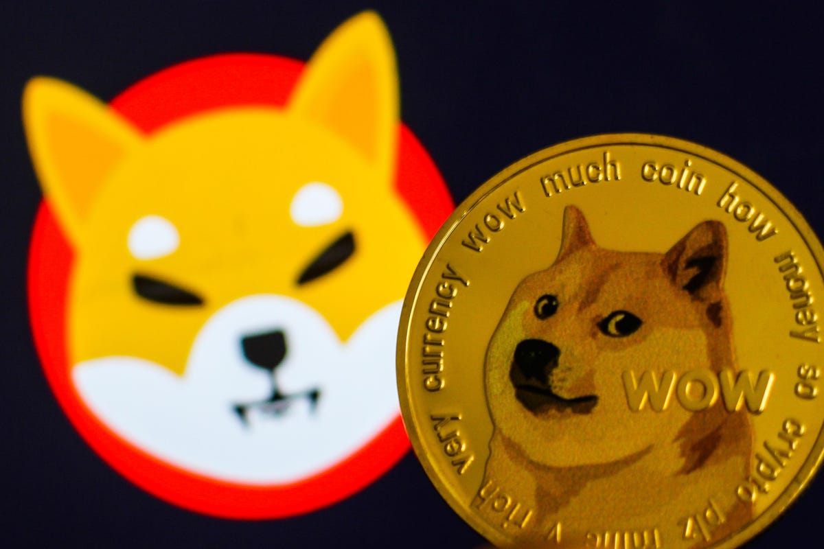 Dogecoin y Shiba Inu ahora disponibles en GameStop por Flexa -  CriptoTendencia